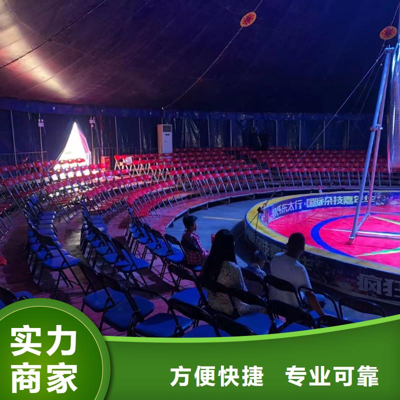马戏团/羊驼_观赏性羊驼租赁2025公司