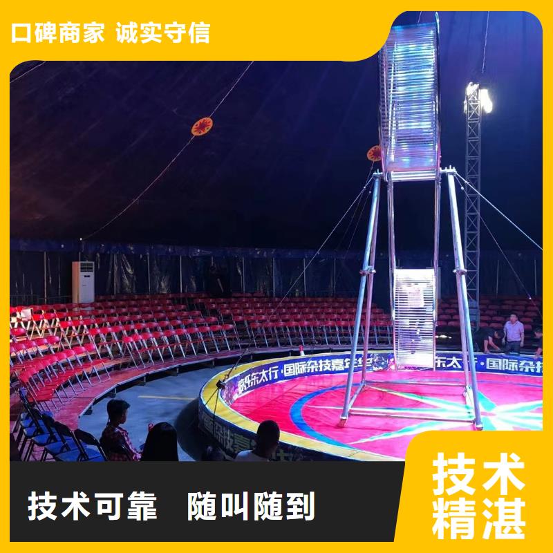 马戏团/羊驼-出租企鹅值得信赖