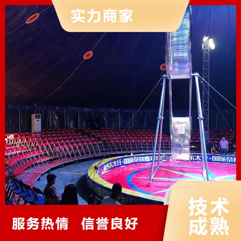 马戏团/羊驼_羊驼出租欢迎询价