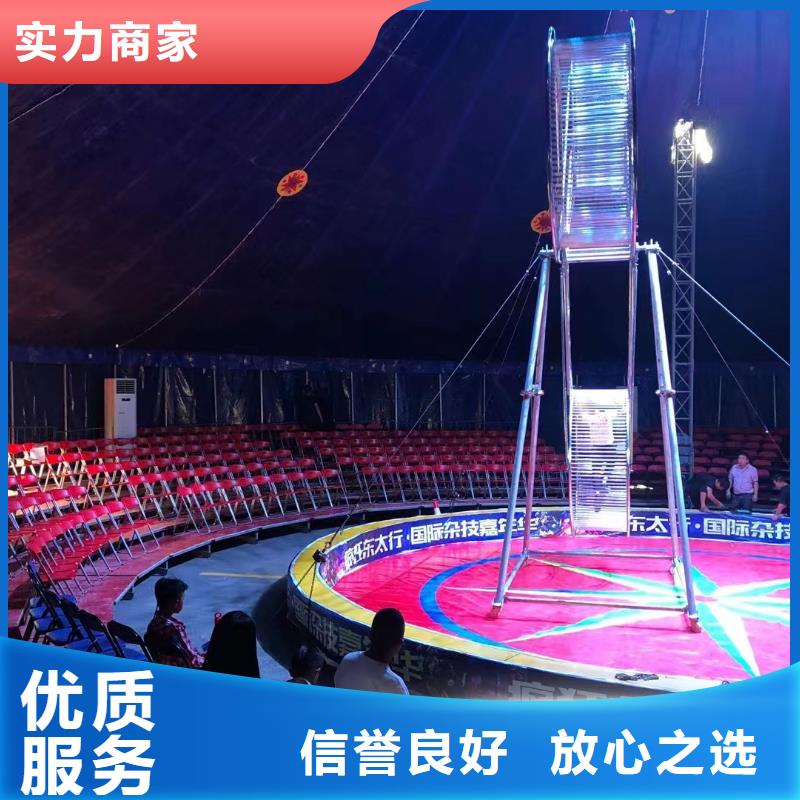 马戏团/羊驼_观赏性羊驼租赁2025公司