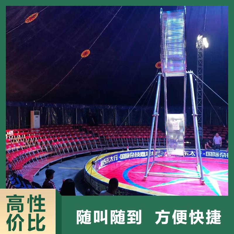 【马戏团/羊驼】_羊驼出租实力强有保证