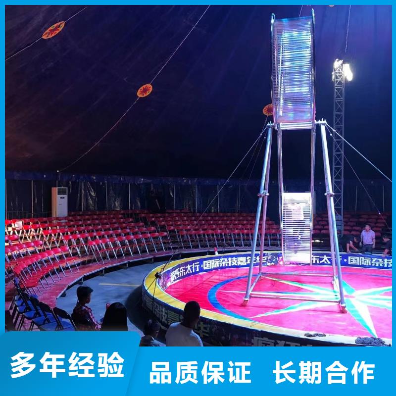 马戏团/羊驼 企鹅出租承接