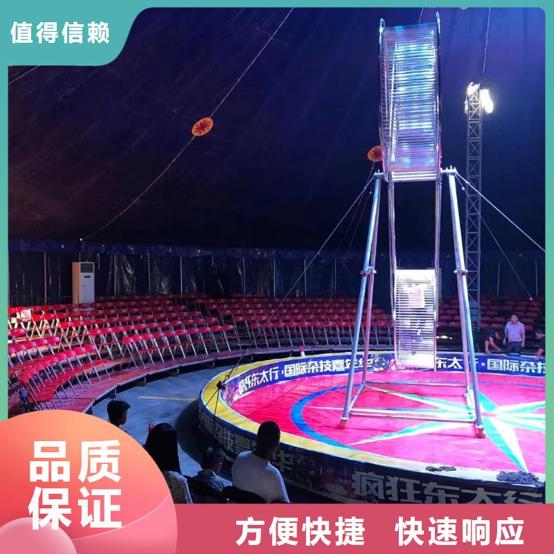 马戏团/羊驼,【海洋展租赁】收费合理