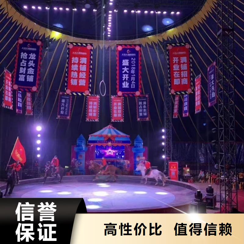 马戏团/羊驼-小马戏表演出租正规团队