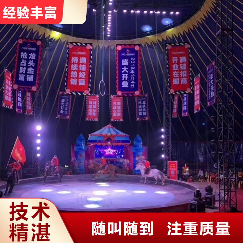 马戏团/羊驼_观赏性羊驼租赁2025公司