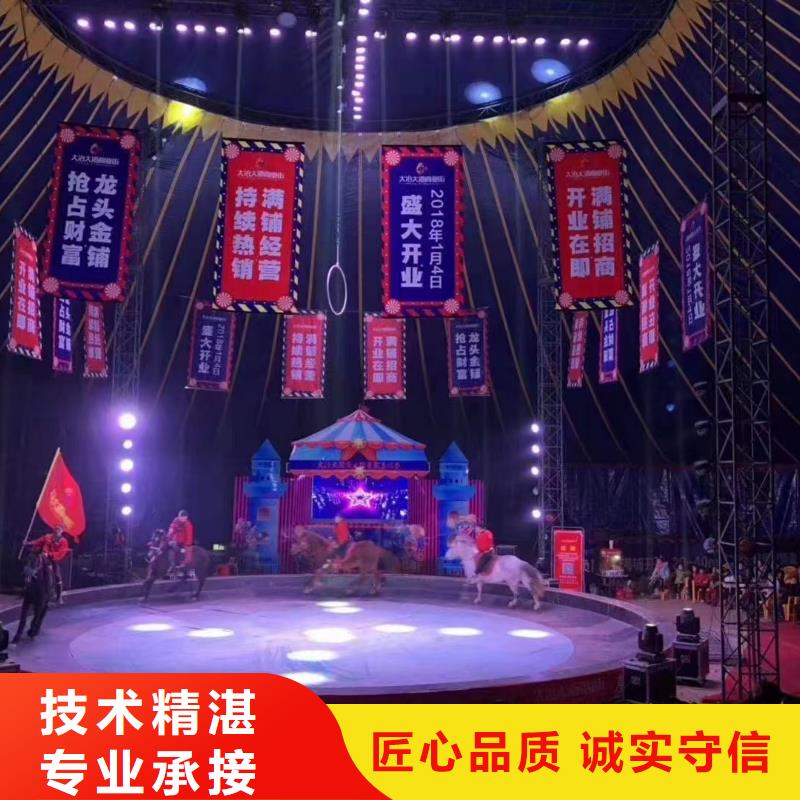 马戏团/羊驼【动物展览秀】精英团队