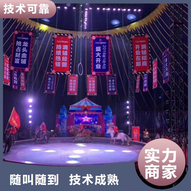 马戏团/羊驼 企鹅出租承接