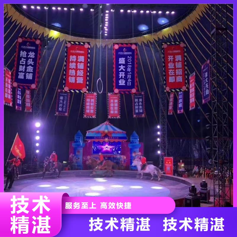 马戏团/羊驼-出租企鹅值得信赖
