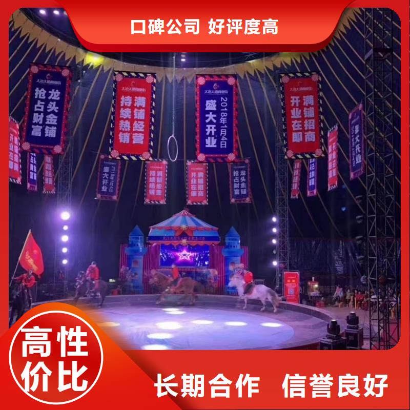 马戏团/羊驼草泥马羊驼租赁