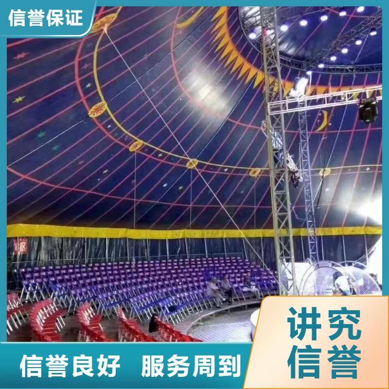 马戏团/羊驼 企鹅出租承接