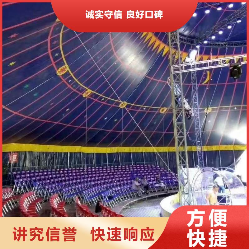 马戏团/羊驼草泥马羊驼租赁