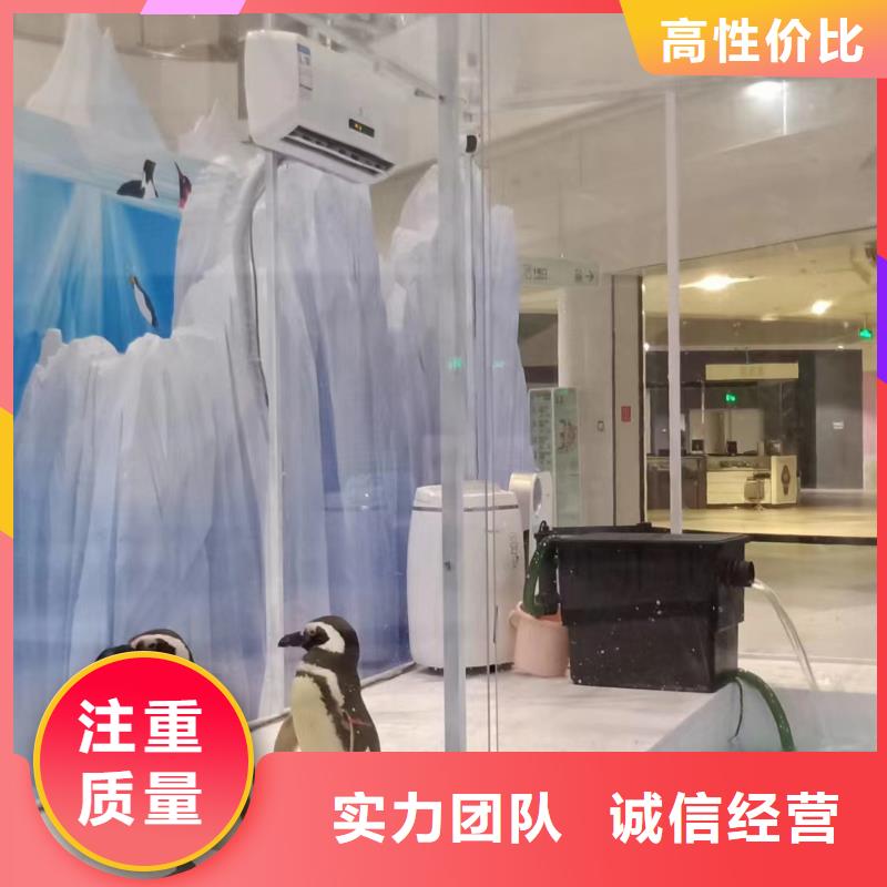哪有出租海狮表演的