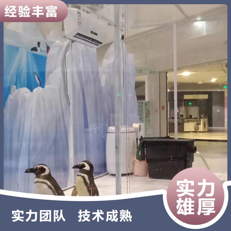 海洋主题动物表演马戏团表演出租24小时为您服务