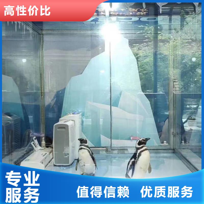 海洋主题动物表演海洋展租赁实力商家