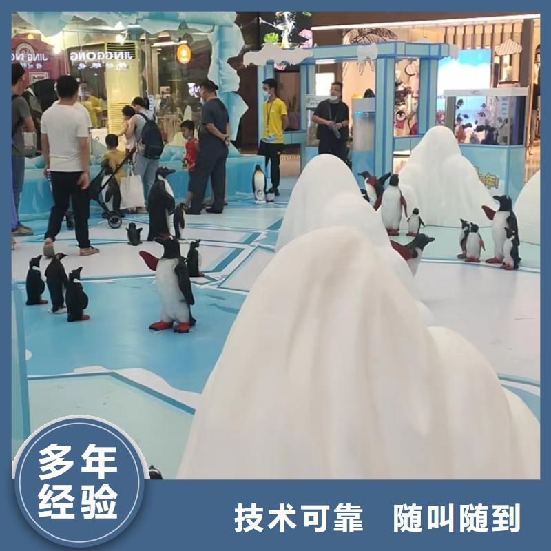 海洋主题动物表演,海狮表演出租方便快捷