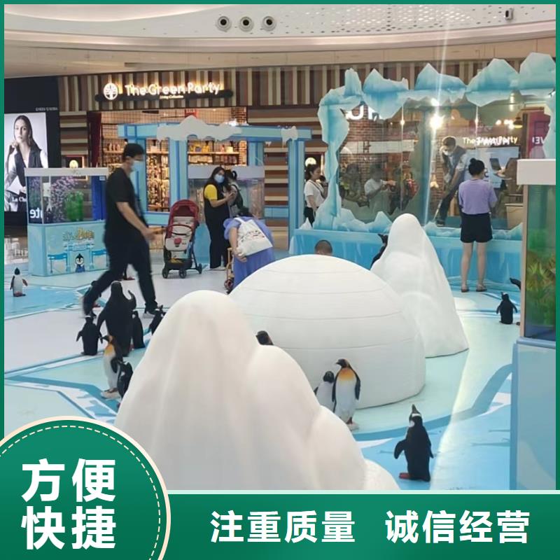 出租海狮哪里有