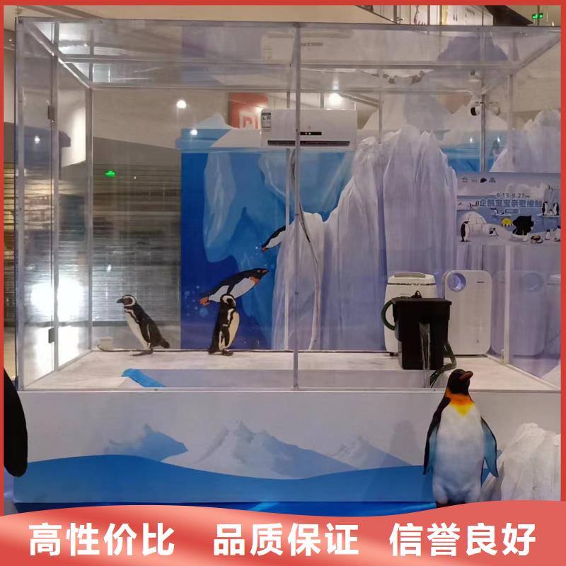 租赁海狮表演主题展览