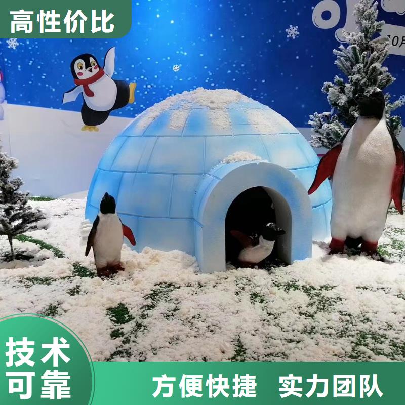 海洋主题动物表演【海狮表演租赁】团队
