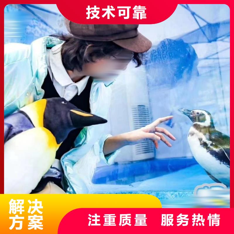 海洋主题动物表演马戏团表演技术成熟