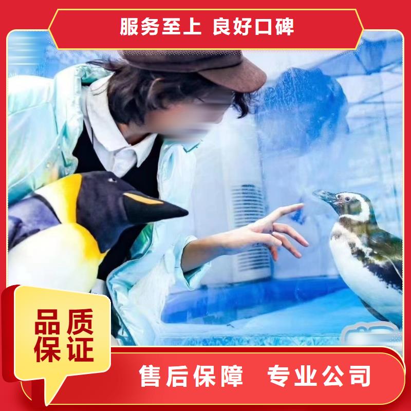 海洋生物鱼缸展租赁联系我们