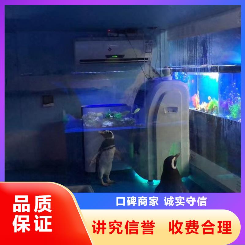 海洋主题动物表演海洋展租赁实力商家