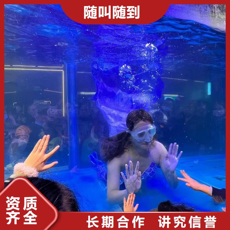 海洋主题动物表演【企鹅演出】技术好