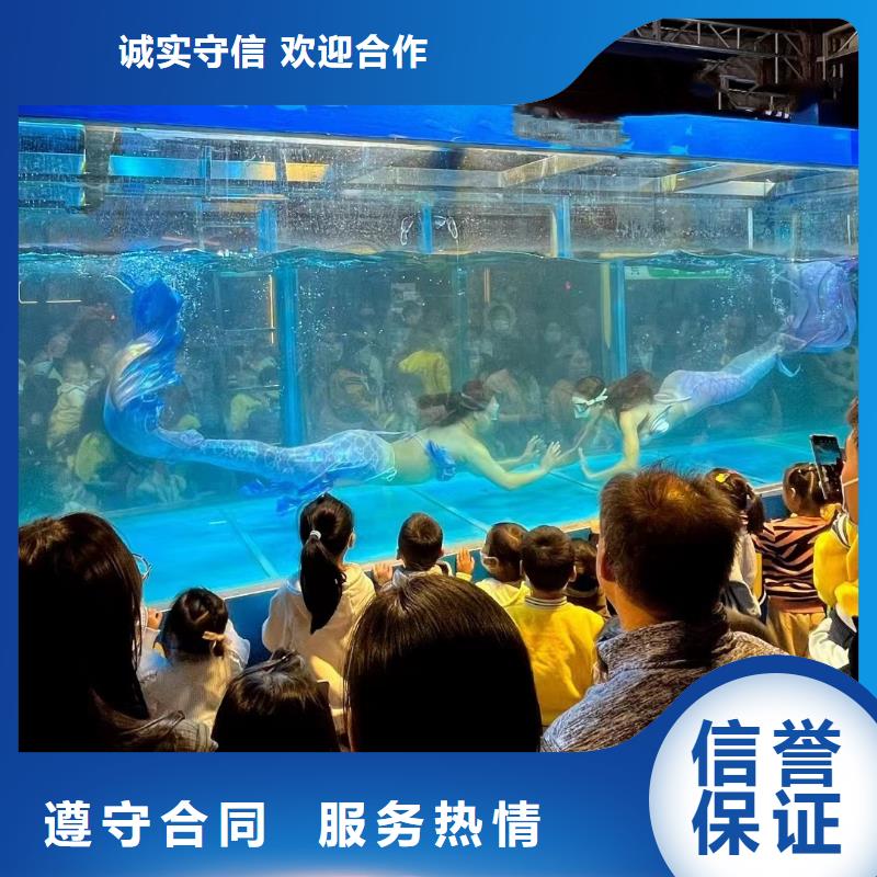 海洋主题动物表演环球飞车表演出租快捷