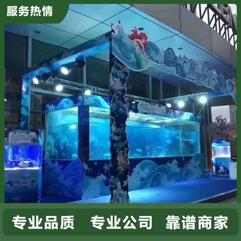 【海洋主题动物表演_【活体羊驼租赁】2025公司】