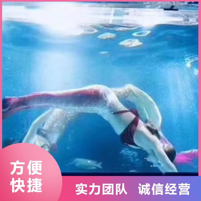 企鹅出租图片