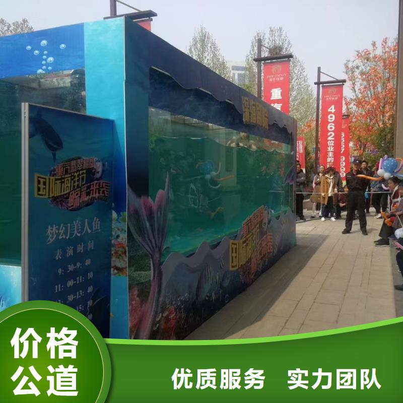海洋主题动物表演【动物杂技表演租赁】2025专业的团队
