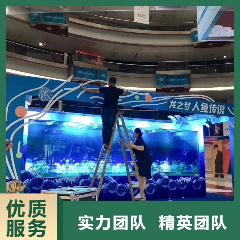 海洋主题动物表演 【海狮表演出租】服务热情