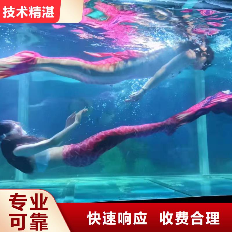 出租海狮哪里有