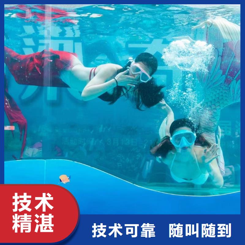 海洋主题动物表演 小马戏表演出租技术精湛