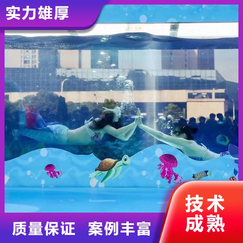 海洋主题动物表演,海狮表演出租方便快捷