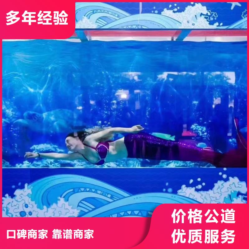 【海洋主题动物表演出租表演海狮注重质量】