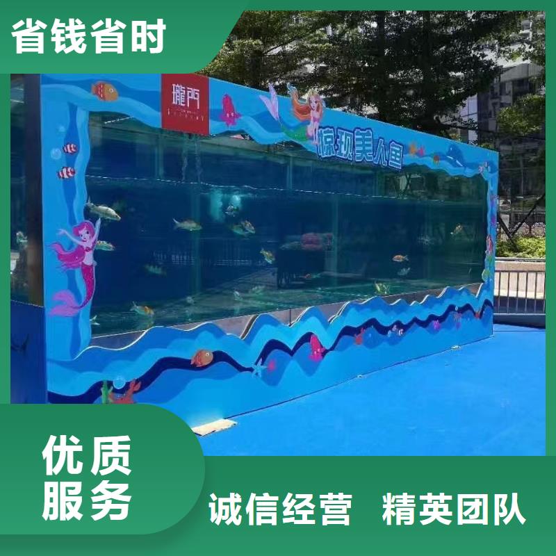 海洋主题动物表演-动物展览秀资质齐全