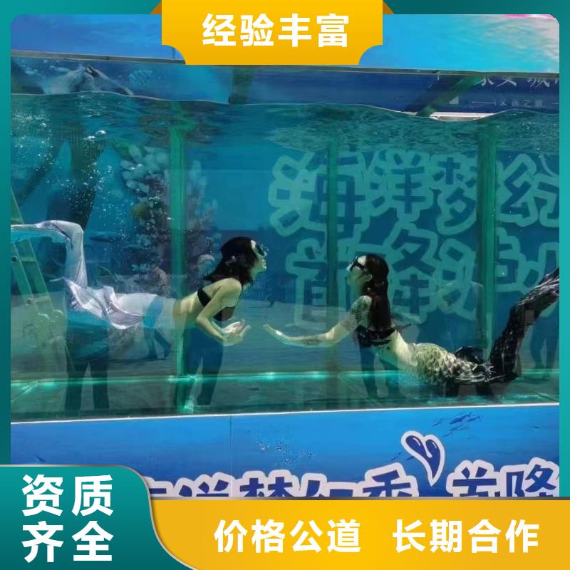 海洋主题动物表演出租表演海狮放心