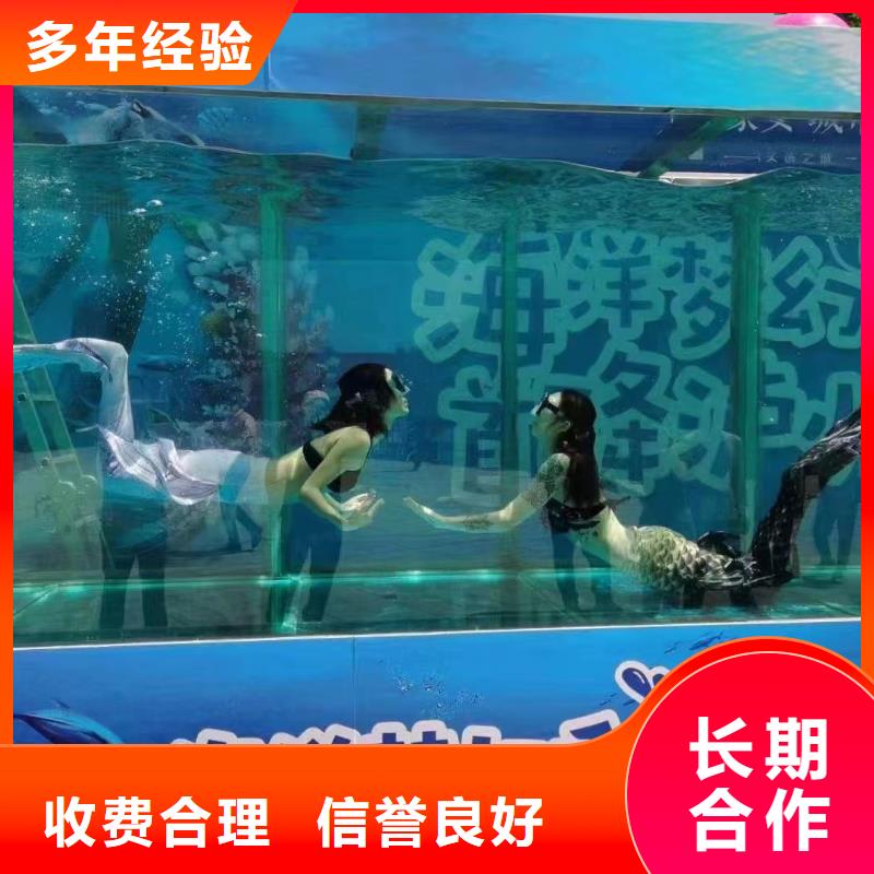 海洋主题动物表演【海狮表演租赁】团队