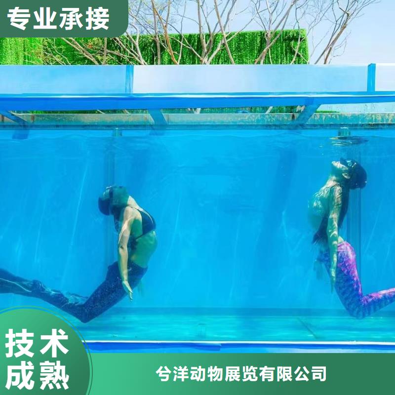 海洋主题动物表演【海狮表演租赁】团队