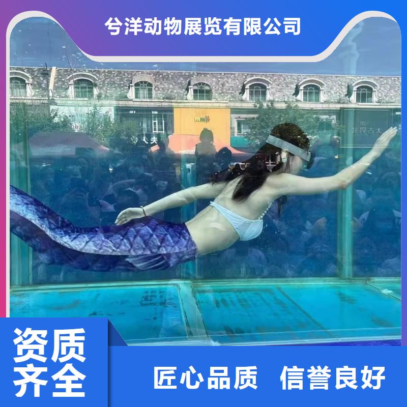 海洋展出租