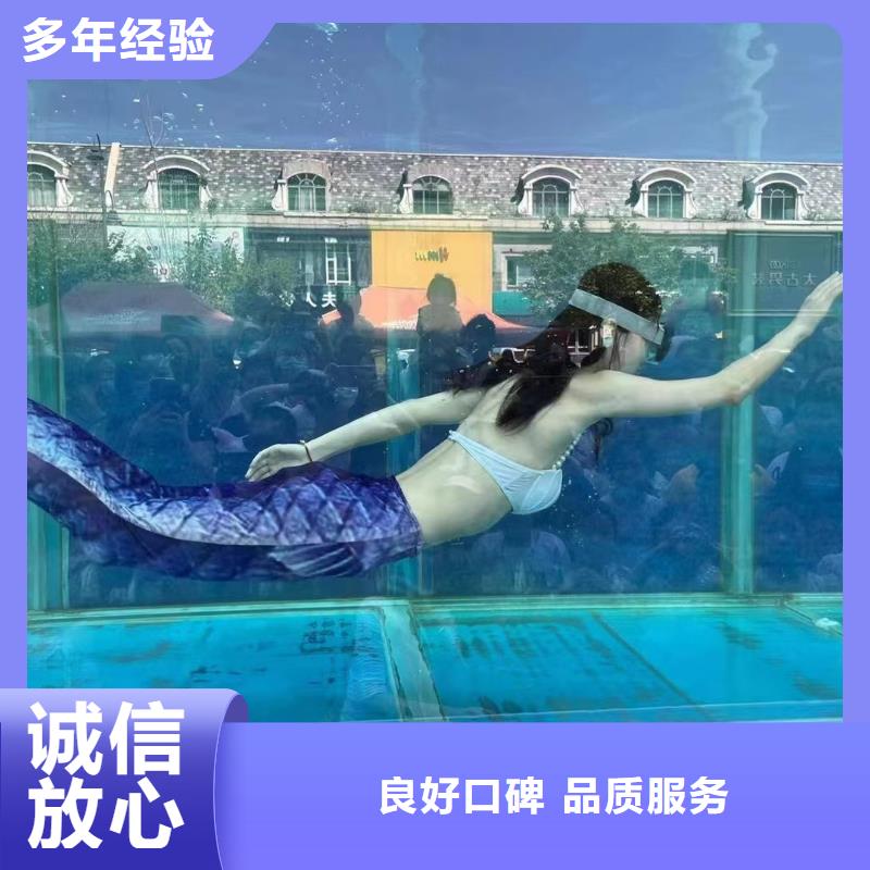 海洋主题动物表演【马戏团表演出租租赁】高品质