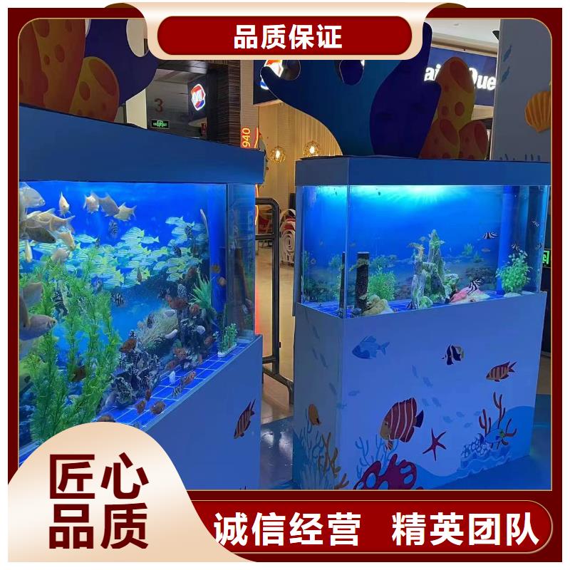 海洋主题动物表演 【企鹅表演】收费合理