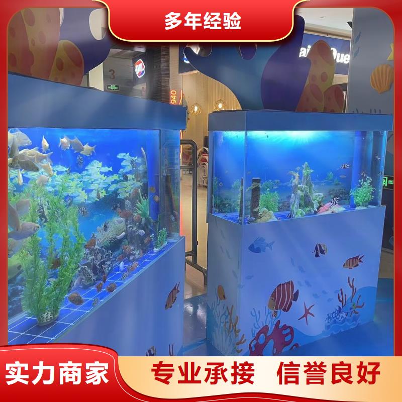 海洋主题动物表演小香猪宠物出租服务至上