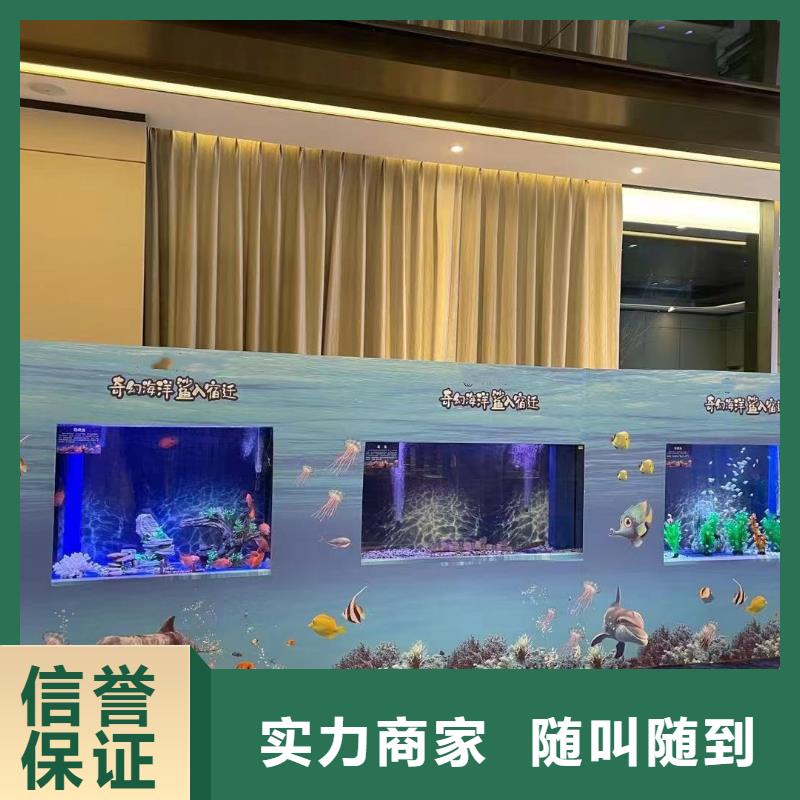 海洋主题动物表演环球飞车表演出租快捷