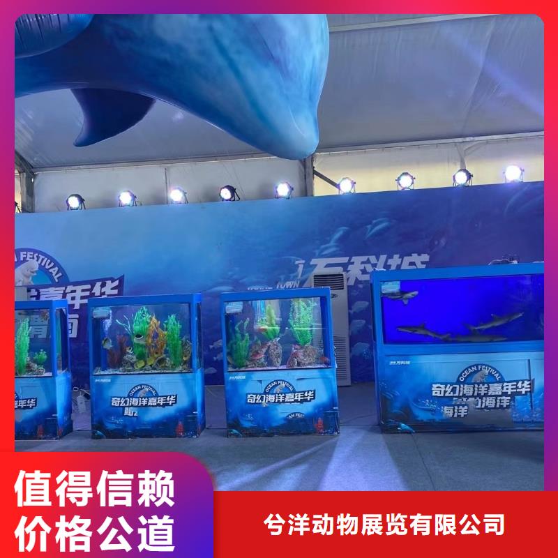 海洋主题动物表演 【企鹅表演】收费合理