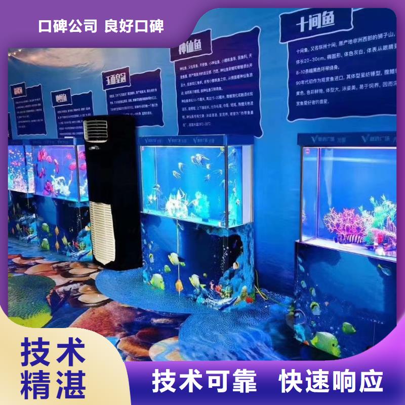 企鹅出租图片