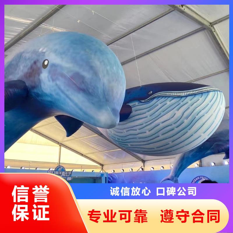 海洋主题动物表演马戏团表演出租24小时为您服务