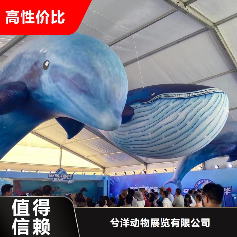 海洋主题动物表演美人鱼表演放心之选