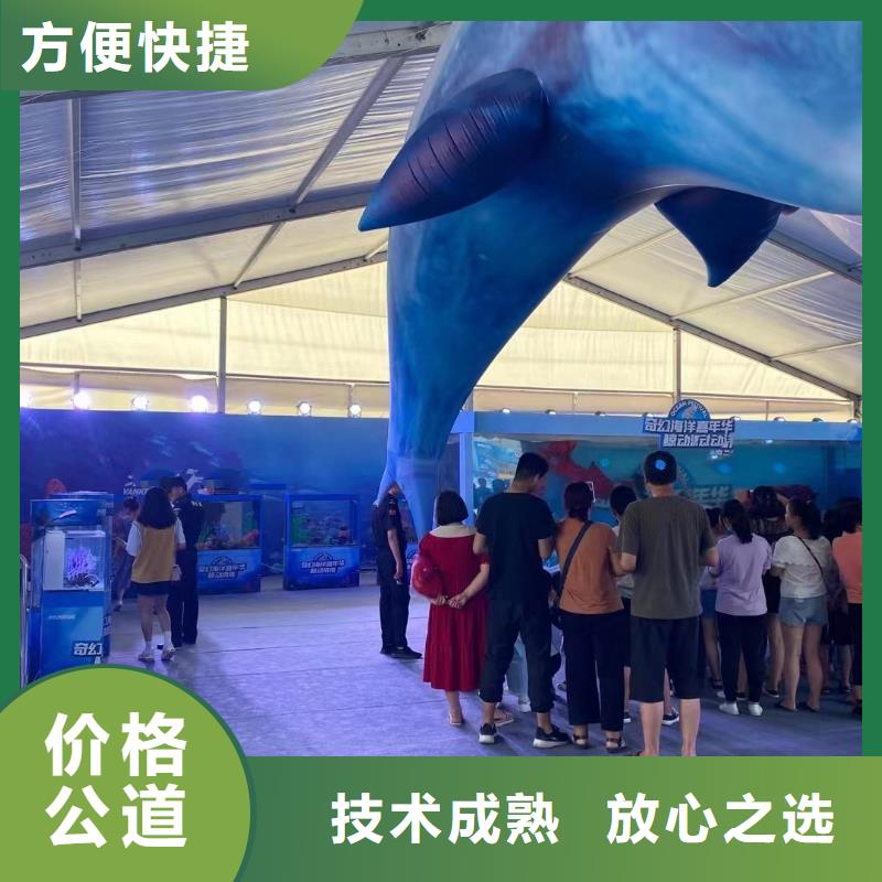 【海洋主题动物表演出租表演海狮注重质量】