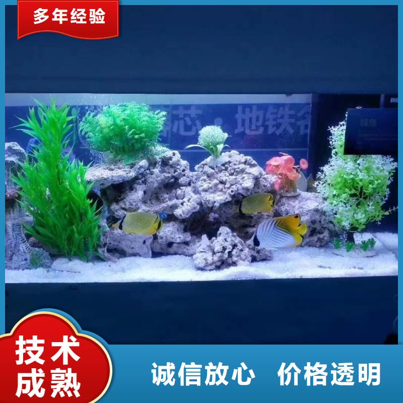 哪有出租海狮表演的
